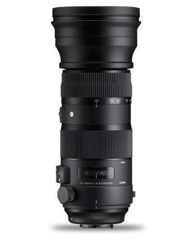  Sigma 150-600mm f/5-6.3 DG OS HSM Sports Lens