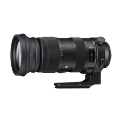  Sigma 60-600mm f4.5-6.3 DG OS Sports Lens