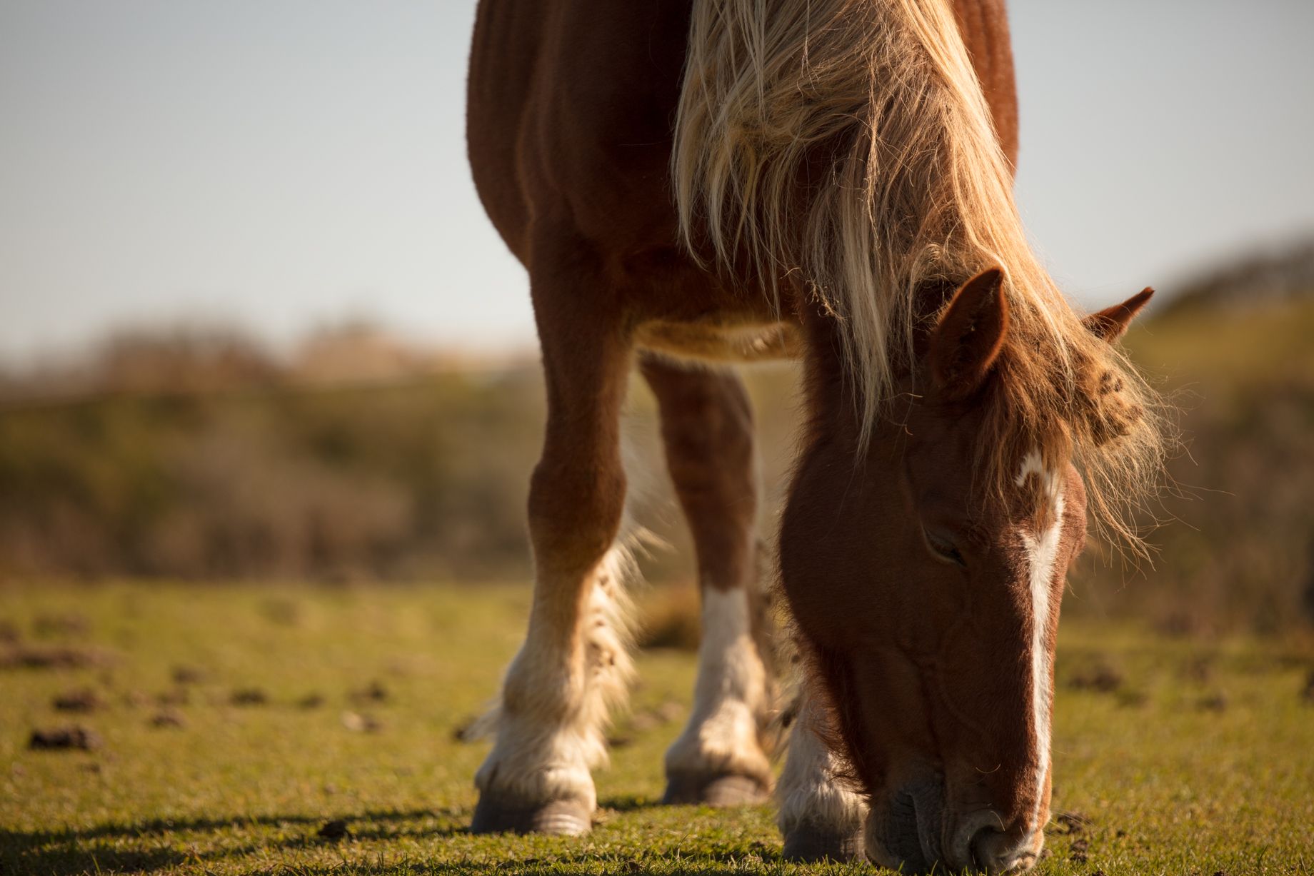 00ZSG70200F2.8S - Sigma 70-200mm f/2.8 DG OS