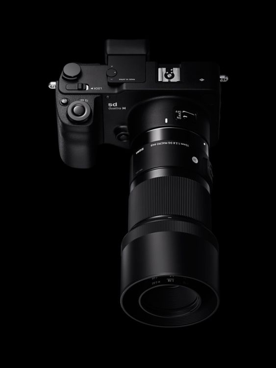 Sigma 70mm f/2.8 DG Macro Art Lens for Sony E-Mount 4271965