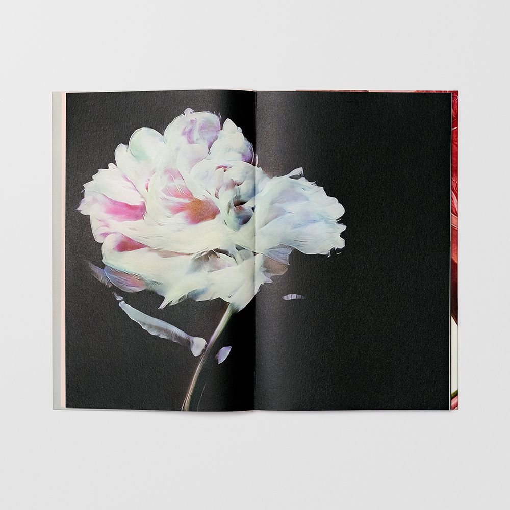 Sigma Foundation Photobook Hanataba