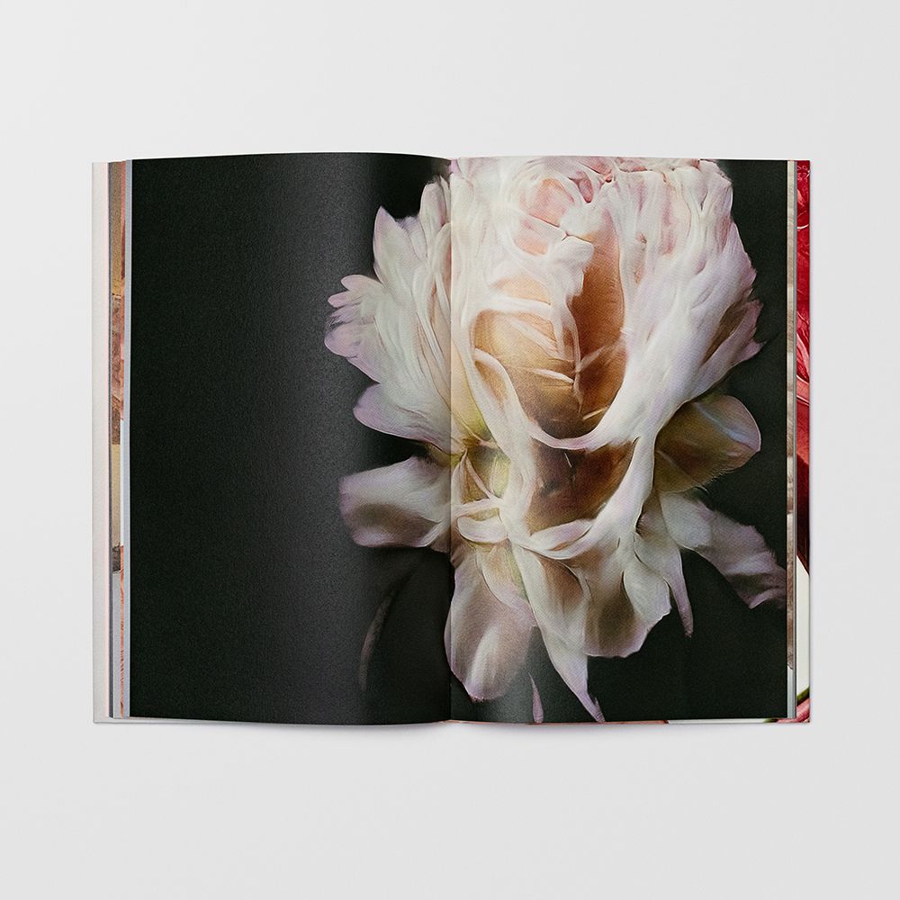 Sigma Foundation Photobook Hanataba