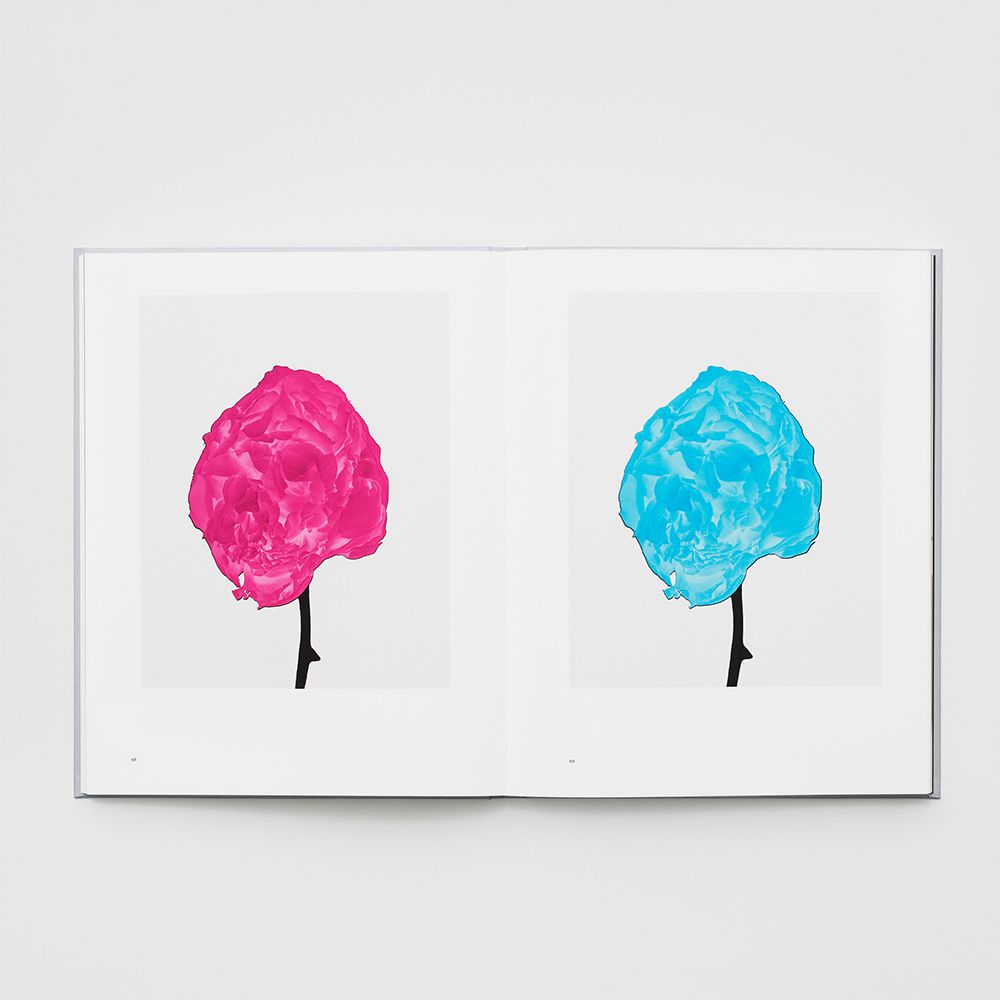 Sigma Foundation Photobook Trevor Key ( Yellow )